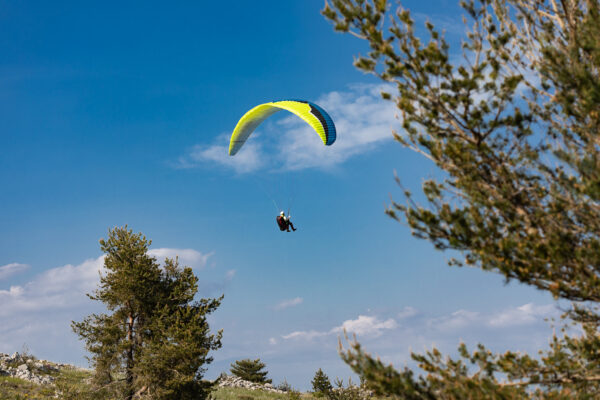 21 mai 2020131111IMG_8979.jpg
