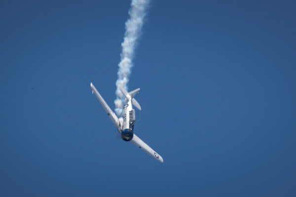 31052025-131943-IMG_3144-Avec accentuation-Bruit.jpg