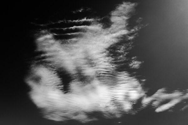 15 mai 2020063012IMG_5951.jpg